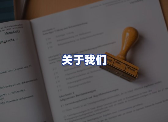 专业团队